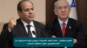 تهجير مرفوض.. مصر تصف تصريحات رئيس وزراء إسرائيل عن الفلسطينيين بخرق الخطوط الحمراء